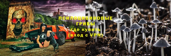 ПСИЛОЦИБИНОВЫЕ ГРИБЫ Беломорск