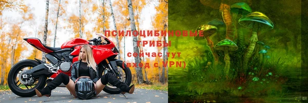 марихуана Белокуриха